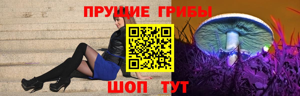 Галлюциногенные грибы мицелий Ессентуки