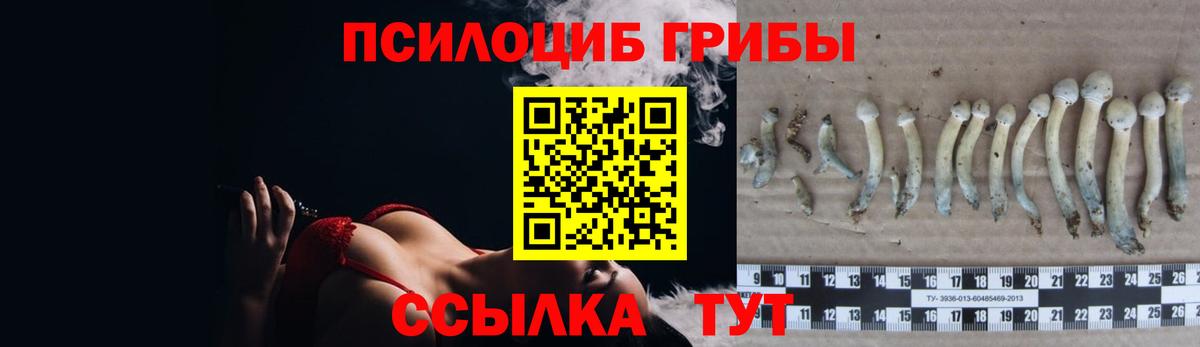Ессентуки  Галлюциногенные грибы Psilocybe  Вход с VPN 